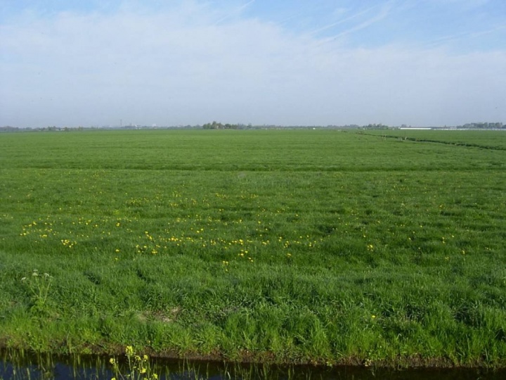 Areaal aan focusgebied daalt
