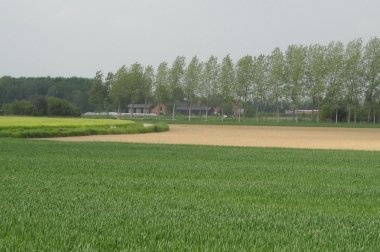 Overheid moet verantwoordelijkheid nemen om Vlaamse landbouw  leefbaar te houden