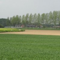 Overheid moet verantwoordelijkheid nemen om Vlaamse landbouw  leefbaar te houden